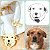 Colar Personalizado Foto do seu Pet Banhado a Ouro - Imagem 2