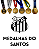 Medalhas do Santos - Imagem 1