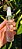 Perfume Capilar Fruits 50ml - Imagem 1