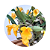 Dendrobium jenkinsii - Imagem 2