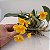 Dendrobium lindleyi (aggregatum) - Imagem 8