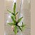 Kokedama de Bromélia verde - Imagem 4