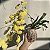 Kokedama de Orquídea Chuva de ouro (Oncidium aloha) - Imagem 1