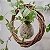 Kokedama de Peperomia pendente - Imagem 6