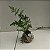 Kokedama de Renda Francesa pequena - Imagem 4