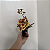 Oncidium equitante / Tolumnia - Imagem 15