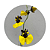 Oncidium varicosum var. Baldin - Imagem 2
