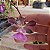 Encyclia cordigera - Imagem 6