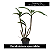 Dendrobium spectabile - Imagem 5