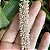 Eria multiflora (Pinalia multiflora) - Imagem 6