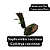 Sophronitis coccinea (Cattleya coccinea) - Imagem 3