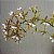 Epidendrum stamfordianum - Imagem 5