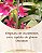 Oncidium Sharry baby (Orquídea chocolate) - Imagem 7