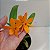 Laeliocattleya Orange Show X Cattleya aurantiaca - Imagem 1