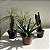 KIT FOLHAGENS DE SOL - Imagem 1