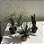 KIT FOLHAGENS DE SOL - Imagem 3