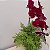 Kokedama duo de Orquídea Phalaenopsis Bordô com Renda Francesa Acabamento Neutro com Suporte Preto - Imagem 10