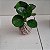 Kit 3 Kokedamas: peperomia verde, peperomia neon e cacto com suporte - Imagem 6