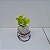 Kit 3 Kokedamas: peperomia verde, peperomia neon e cacto com suporte - Imagem 4