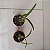 Encyclia cordigera var. atropurpurea - Imagem 5