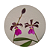 Encyclia cordigera var. atropurpurea - Imagem 9