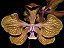 Encyclia fowliei - Imagem 2