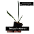 Encyclia fowliei - Imagem 4