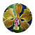 Encyclia fowliei - Imagem 3