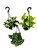 Kit 3 Jiboias - Jiboia Branca, Jiboia Neon e Jiboia Prateada - Imagem 1