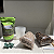 Kit Primeiro Replante - Imagem 4