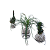 KIT 3 KOKEDAMA: PEIXINHO, PATA DE ELEFANTE E CACTO COM SUPORTE - Imagem 1