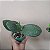 MINI PHALAENOPSIS COM FLOR - CORES VARIADAS - Imagem 5