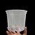 Kit 5 Vasos Transparentes Plástico 14cm P/ Orquídea Adulta - Imagem 5