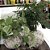 KOKEDAMA DE PEPEROMIA PENDENTE GRANDE - FIBRA DE COCO - Imagem 5