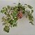 KOKEDAMA DE PEPEROMIA PENDENTE GRANDE - FIBRA DE COCO - Imagem 3