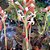 Kit 2 Ludisia Discolor Orquídea Pipoca Joia Terrestre Rara - Imagem 9