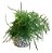 KOKEDAMA DE MELINDRE - BARBANTE CRU - Imagem 1
