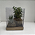 KIT 2 KOKEDAMAS: KOKEDAMA DE PEPEROMIA PEIXINHO E KOKEDAMA DE RABO DE TATU ACABAMENTO NEUTRO COM CAIXA PARA PRES - Imagem 5