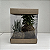 KIT 2 KOKEDAMAS: KOKEDAMA DE PEPEROMIA PEIXINHO E KOKEDAMA DE RABO DE TATU ACABAMENTO NEUTRO COM CAIXA PARA PRES - Imagem 6