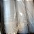 VASO TRANSPARENTE 14 CM - KIT 50 - Imagem 2