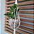 KOKEDAMA DE PEPEROMIA VERDE COM MACRAMÊ HANGER BRANCO - Imagem 2