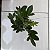 KOKEDAMA DE MINI ZAMIOCULCA ACABAMENTO BARBANTE FIO CRU COM SUPORTE - Imagem 7