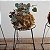 MINI KOKEDAMA DE CORAÇÃO EMARANHADO ACABAMENTO NEUTRO - KIT 10 - Imagem 2