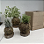KIT 3 KOKEDAMAS: PEPEROMIA PENDENTE, RIPSALIS E RABO DE TATU ACABAMENTO NEUTRO  E CAIXA PARA PRESENTE - Imagem 4