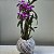 Kokedama de Orquidea com flor(Dendrobium) com suporte - Imagem 5