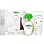 Kit Perfume Grès Cabotine Edt 50Ml + Loção Corporal 50Ml - Feminino - Imagem 1