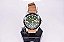 Relógio Masculino Timex TW2U09800ZV - Imagem 5