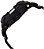 Relógio Masculino G-Shock GA110RG-1A - Imagem 4