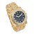 Relógio Masculino Charles Raymond L0504B (L0504DXB ZZ Gold Black Panther) - Imagem 4