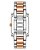 Relógio Feminino Anne Klein AK/4075SVRT - Imagem 3